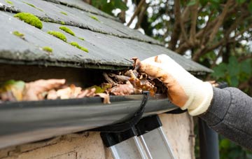 gutter cleaning Balmoral