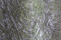 Balmoral fibreglass roof work